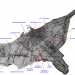 La mappa delle 14 masserie abbandonate della terra di Bari